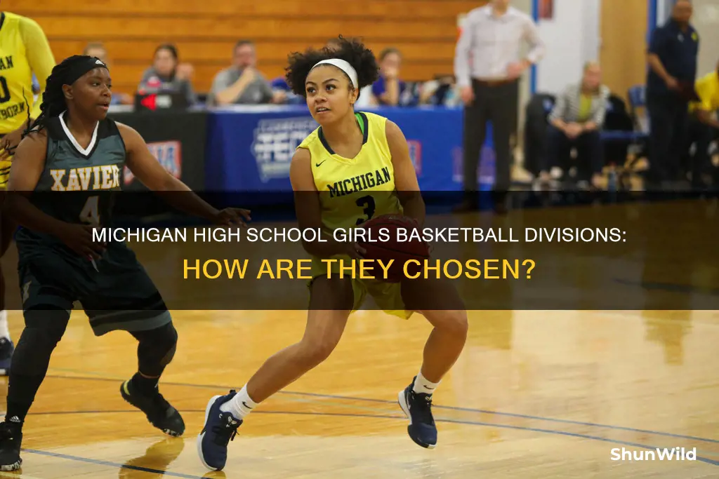 how are michigan girls high school basketball divisions chosen