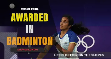 Understanding Badminton's Point System