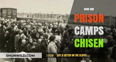 How Prison Camp Locations Are Strategically Chosen: Key Factors Explained