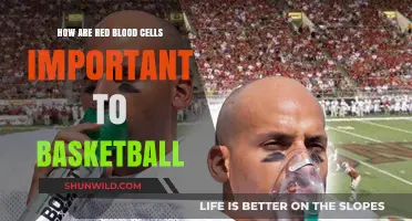 Red Blood Cells: Basketball Performance Powerhouses
