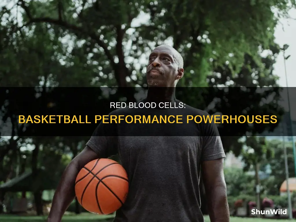 how are red blood cells important to basketball