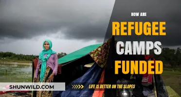 Understanding the Financial Support Behind Refugee Camps: Sources and Challenges