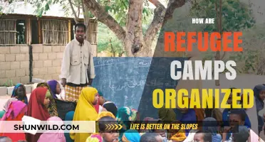 Understanding the Structure and Management of Refugee Camps Worldwide