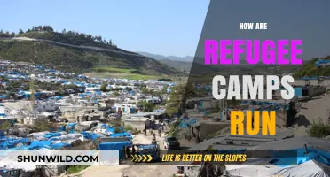 Understanding the Management and Daily Operations of Refugee Camps