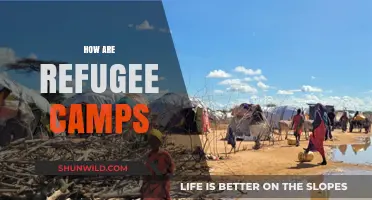 Life in Refugee Camps: Challenges, Resilience, and Hope Explored