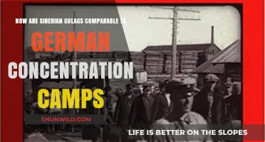 Gulags vs. Concentration Camps: Parallels in Soviet and Nazi Oppression