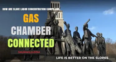 Slave Labor, Concentration Camps, and Gas Chambers: The Dark Connection