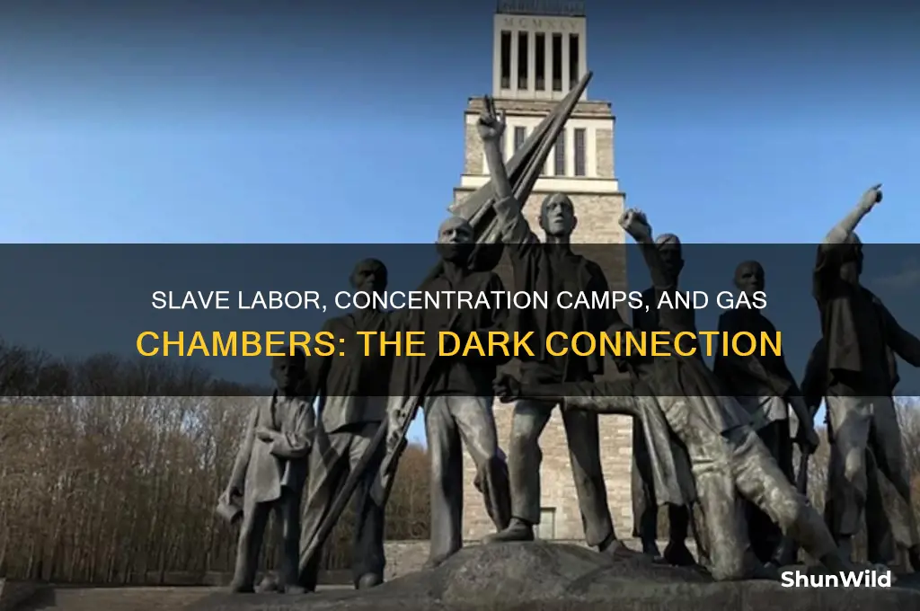 how are slave labor concentration camps and gas chamber connected