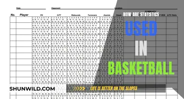 Unveiling the Statistical Secrets of Basketball: A Data-Driven Journey