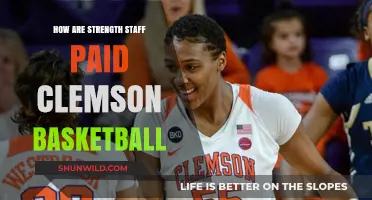 Clemson Basketball Staff Pay: Where Does the Money Go?