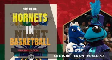 Hornets' Buzz: A Basketball Team's Rise