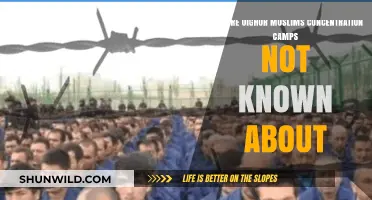 Hidden Atrocities: Why Uighur Concentration Camps Remain Unknown to Many