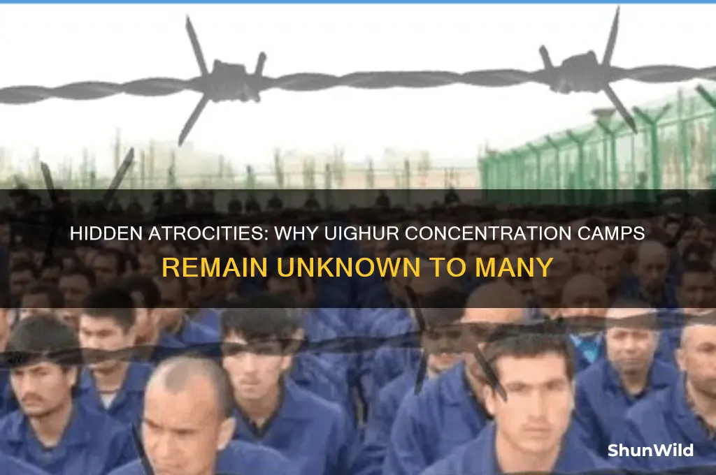 how are uighur muslims concentration camps not known about