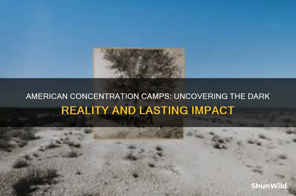 how bad are american concentration camps