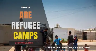 The Harsh Realities of Life in Refugee Camps: A Deep Dive