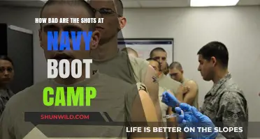 Navy Boot Camp Injections: Pain, Purpose, and What to Expect