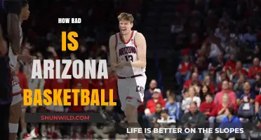 Arizona Basketball: A Team in Shambles