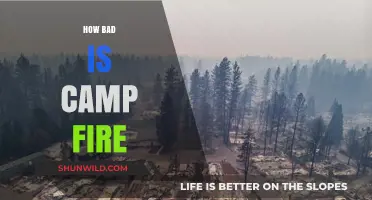 Devastating Camp Fire Impacts: Understanding the Severity and Long-Term Effects