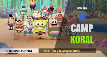 Camp Koral: Unveiling the Harsh Realities of a Troubling Experience