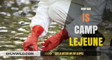 Camp Lejeune's Toxic Legacy: Uncovering the Devastating Health Impacts