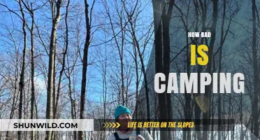 The Harsh Realities of Camping: Is It Worth the Struggle?