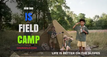 Field Camp Realities: Uncovering the Challenges and Rewards of Outdoor Learning