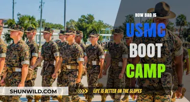 USMC Boot Camp Reality: Uncovering the Intensity and Challenges
