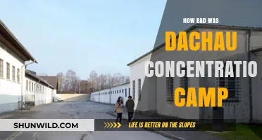 Dachau's Horrors: Unveiling the Brutality of Nazi Concentration Camps