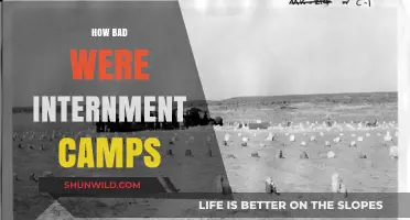 The Dark Reality of Internment Camps: A Historical Tragedy