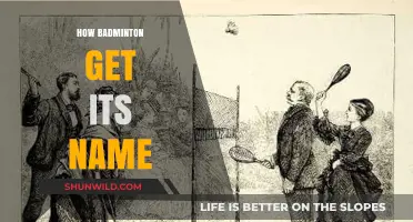 Badminton's Name Origin: A Historical Perspective