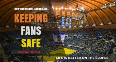 Basketball Arenas: Ensuring Fan Safety