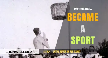 The Evolution of Basketball: From Pastime to Sport