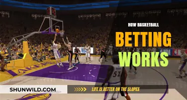 Understanding Basketball Betting: A Beginner's Guide