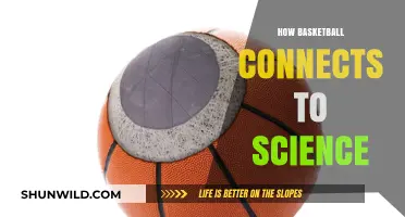 Science Behind Basketball: Physics, Biomechanics, and More