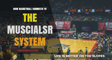 Basketball's Musical Rhythm: The Unseen Connection