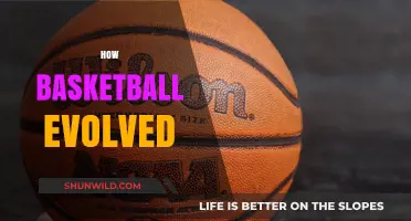The Evolution of Basketball: A Journey to Modern-Day Hoops