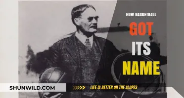 The Evolution of Basketball's Name