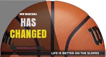 The Evolution of Basketball: A Dynamic Sport's Journey