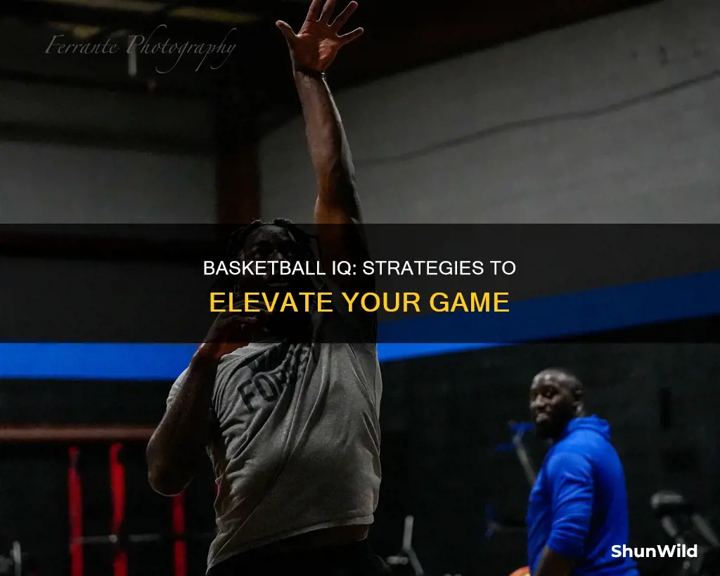 how basketball iq should be improved