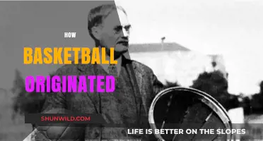 The Evolution of Basketball: A Historical Perspective