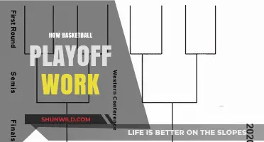 Understanding the Basketball Playoffs: A Guide