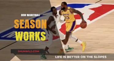 The Basketball Season: A Comprehensive Guide