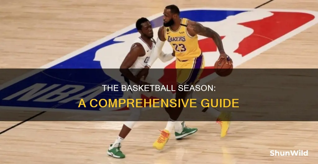 how basketball season works