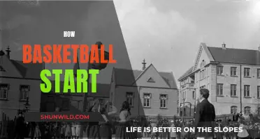 The Evolution of Basketball: From Dribbling to Domination