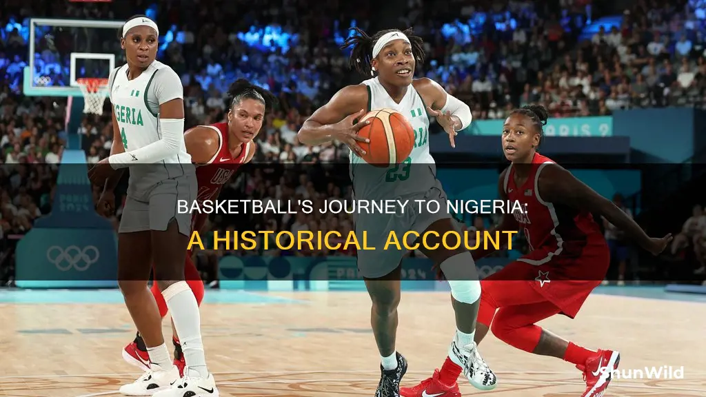 how basketball started in nigeria