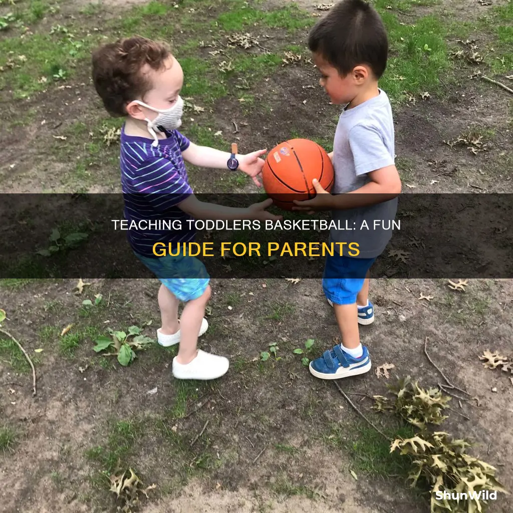 how basketball toddler