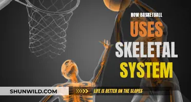 Skeletal System: Basketball's Unsung Heroes