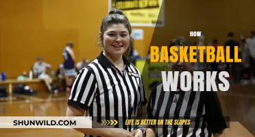 The Fundamentals of Basketball: A Beginner's Guide