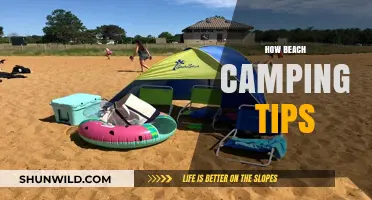 Essential Beach Camping Tips for a Perfect Coastal Adventure