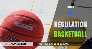 The Size of a Basketball: Official Measurements and More